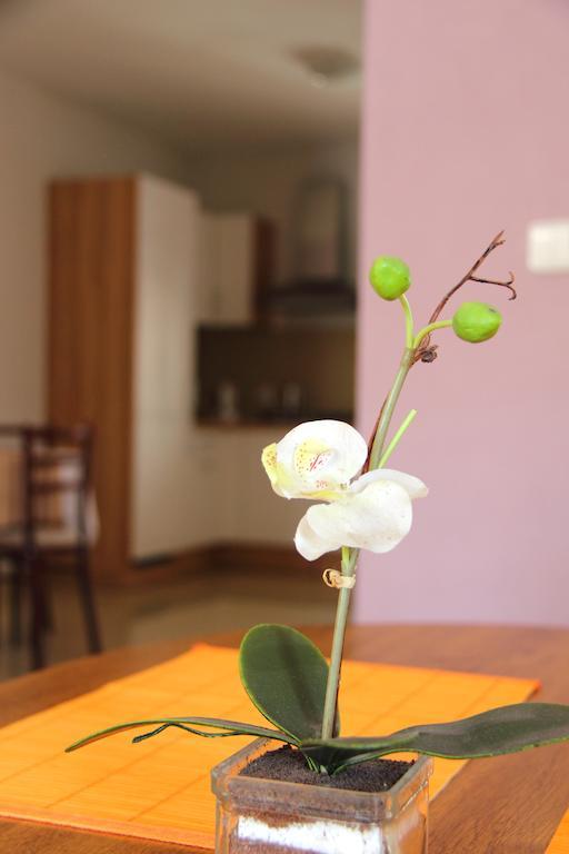 Vila Dravce الغرفة الصورة